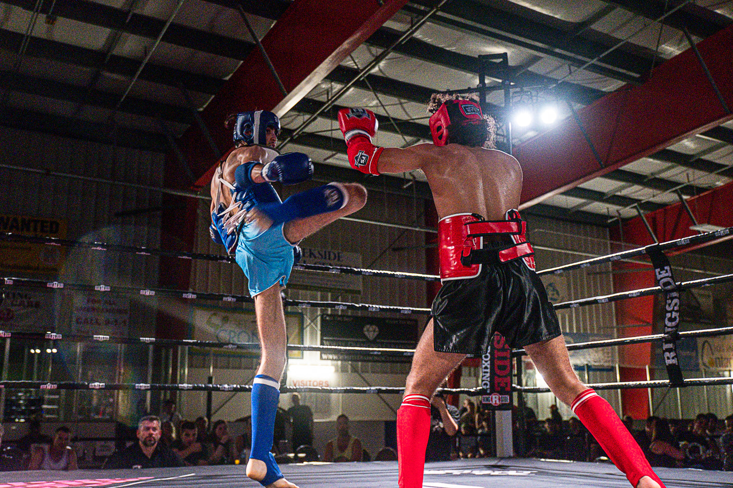 Amir vs Zain Digital Download