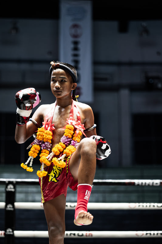 Boxer's Dance Limited Edition Print