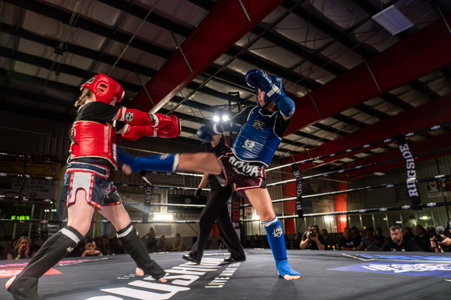 Molly vs Faye Digital Download